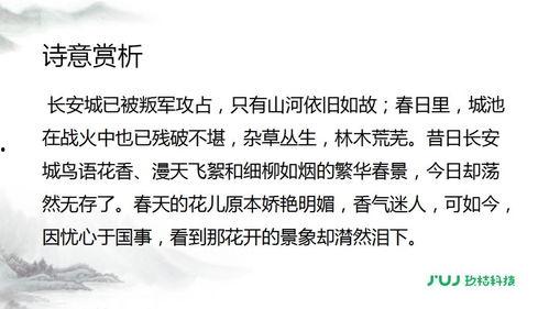 古诗春望在线视频,古韵盎然，岁月如诗