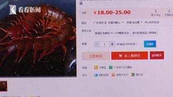 另类专区在线视频浣