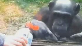 西游性事在线视频,一场跨越时空的奇幻之旅