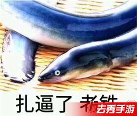 鳝鱼视频主播在线视频,带你领略网络直播的魅力