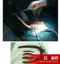 鳝鱼视频主播在线视频,带你领略网络直播的魅力