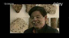 变苍蝇高清在线视频观看,揭秘变苍蝇惊悚奇幻之旅