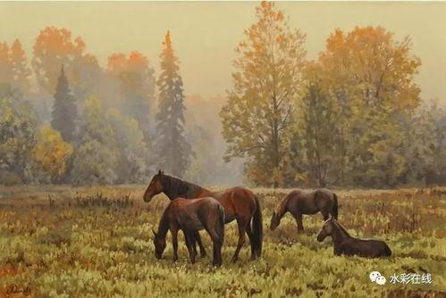 马窝里在线视频,揭秘马术运动的魅力与技巧