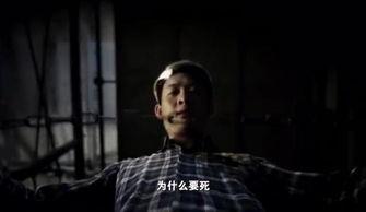 好家伙在线视频免费,免费畅享精彩内容，轻松解锁娱乐新境界