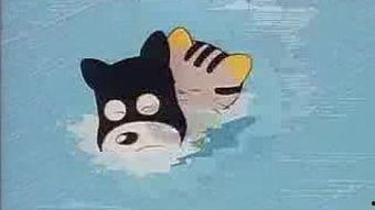 猫咪中文在线视频观看,萌宠瞬间，治愈心灵