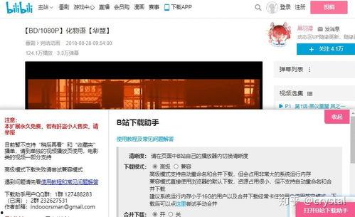 有b在线视频播放,精彩内容一网打尽