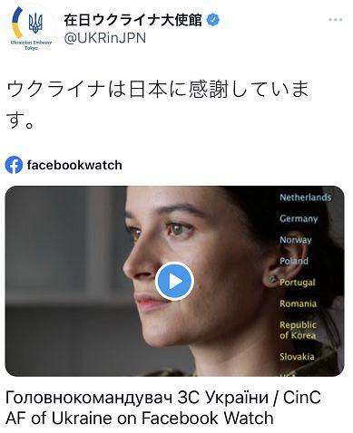 无日本在线视频