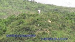 龙云风在线视频,揭秘神秘力量，探寻在线视频的奇幻之旅