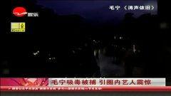 在线视频 大陆,大陆在线视频行业发展趋势与市场洞察