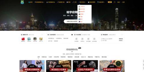 在线视频那种网页,内容布局与观看体验深度解析